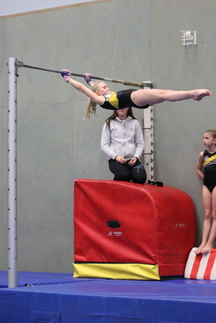 Telinevoimistelun kilpailut Isokyrössä keväällä 2015